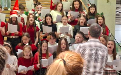 Adventska čarolija u Ikei